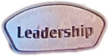 Picture of CSP Patch - Leadership