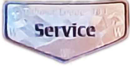 Picture of Lodge Patch - Service